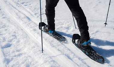 Seasonal Mountain Sports